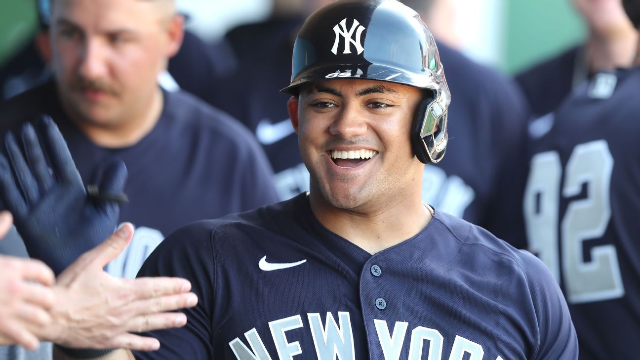 Yankees Rumors: Jasson Domínguez, Austin Wells to Be Called Up