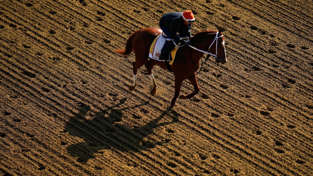 Preakness favorite Mage cleared after getting stitches for cut ESPN