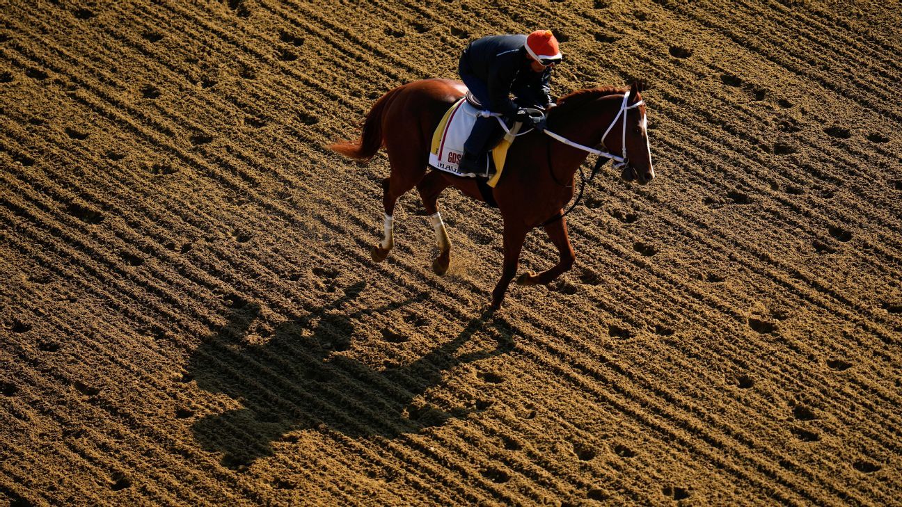 Preakness Betting - What is A Trifecta Bet? Horse Betting Trifecta Bets  Explained