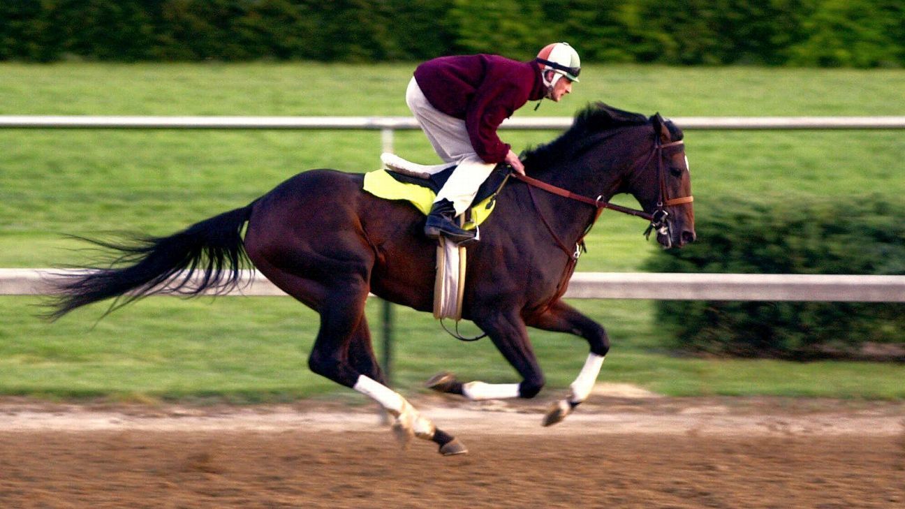 Fusaichi Pegasus, 2000 Derby winner, dies at 26