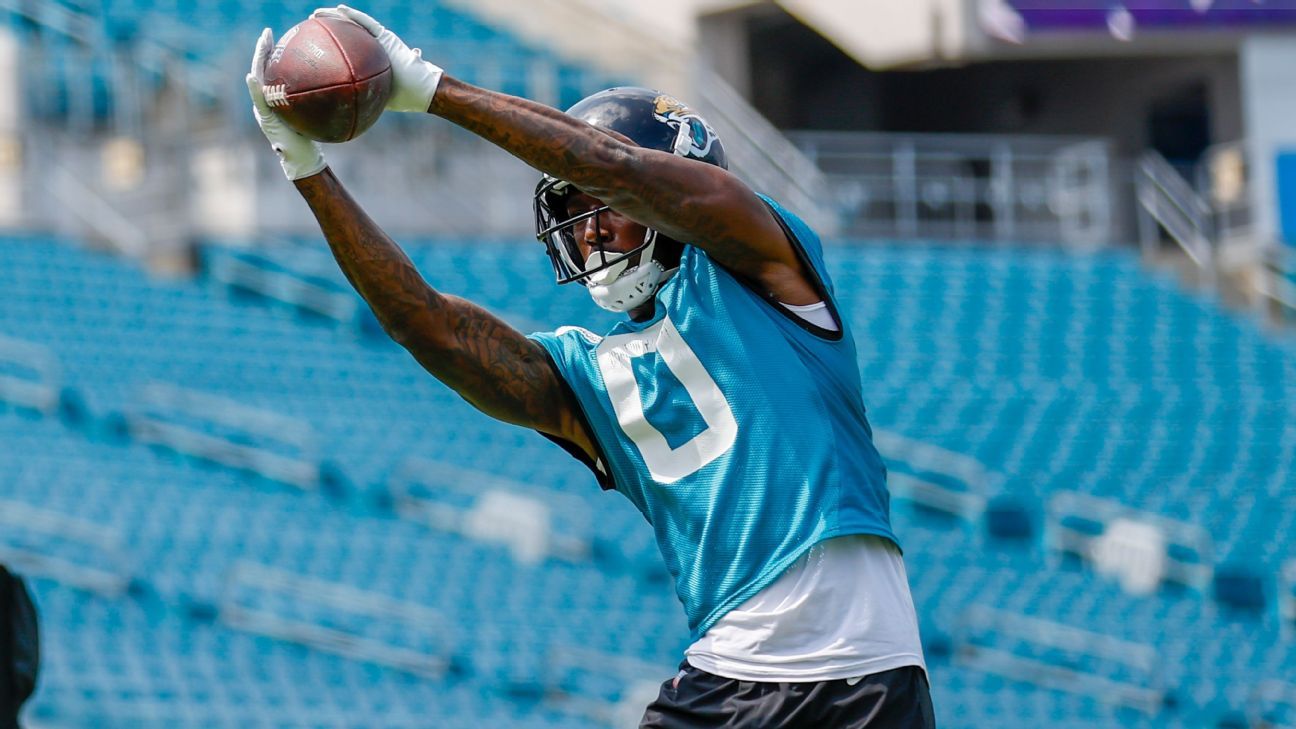 Fantasy football rankings questions AFC South ESPN