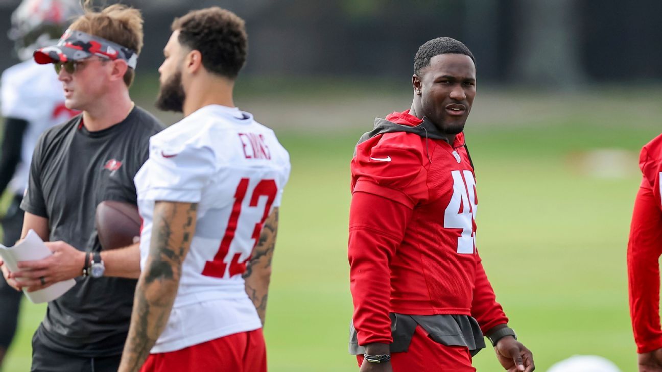 Tampa Bay Buccaneers Devin White Conflict Resolution