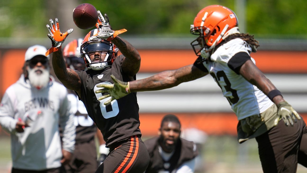 Cleveland Browns Daily & More