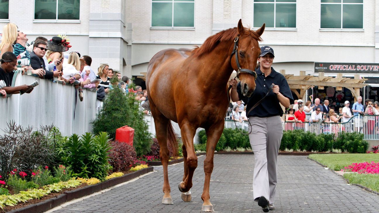 Funny Cide, 2003 Derby, Preakness winner, dies