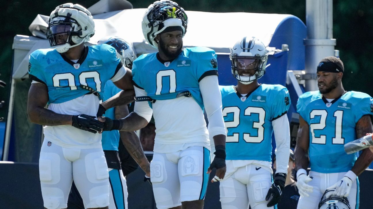 Carolina Panthers tight end Giovanni Ricci looks on during the