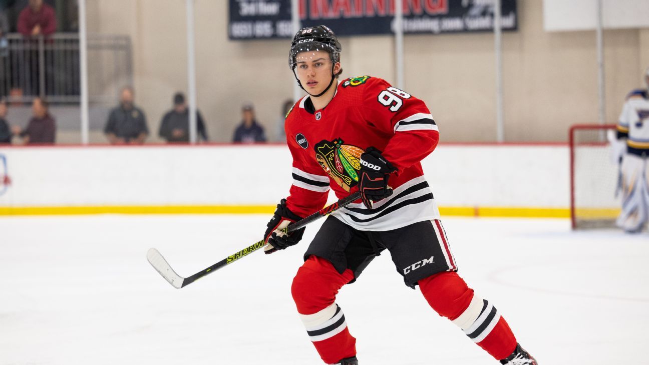 Top 10 Rookie Players in Fantasy Hockey for the Season BVM