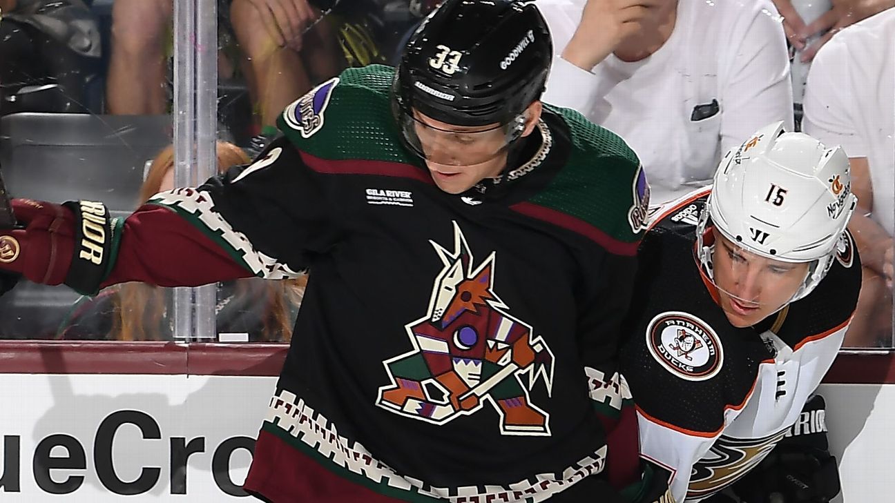 Arizona Coyotes to wear purple alternate jerseys for select games