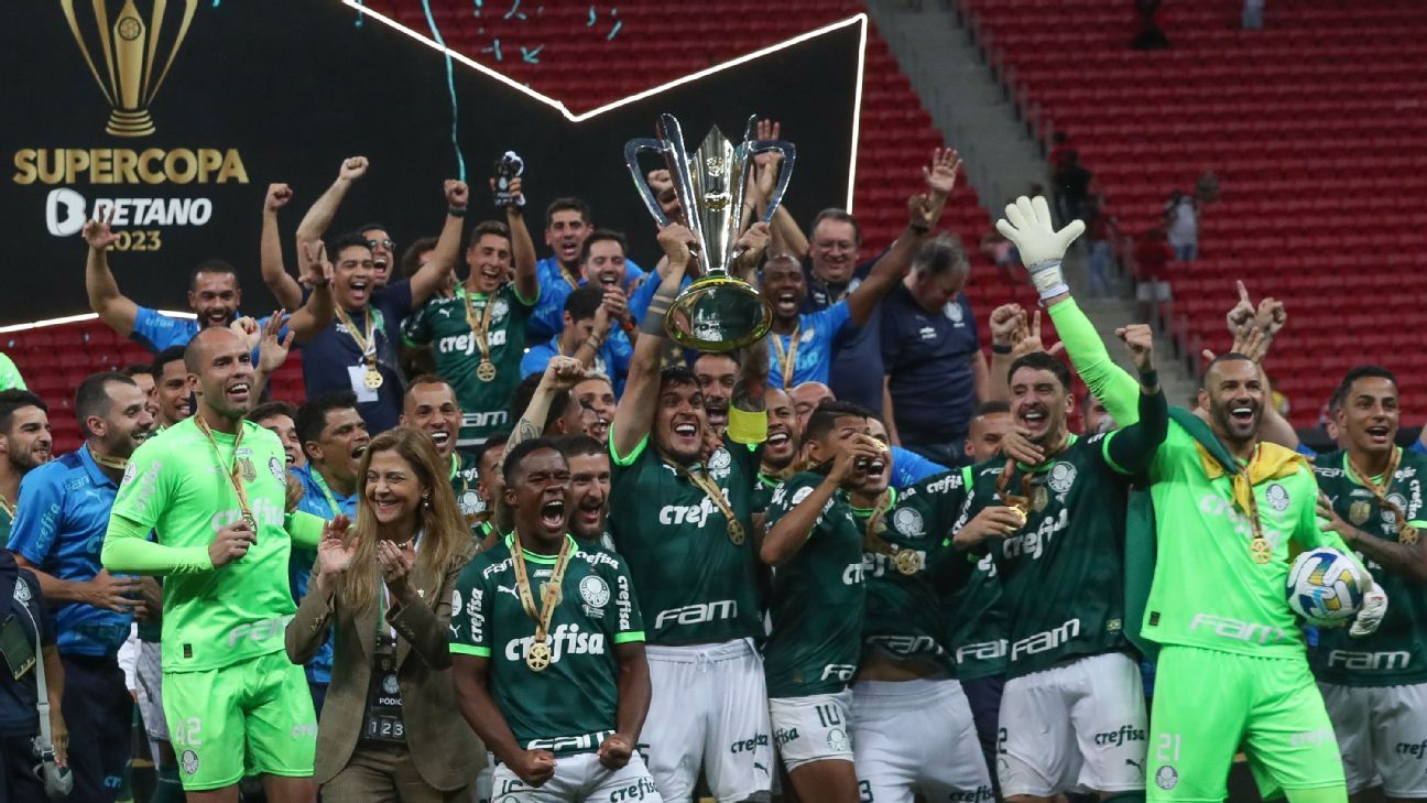 Palmeiras fatura premiação milionária com título do Brasileirão e chega a R$ 134 milhões em 2023