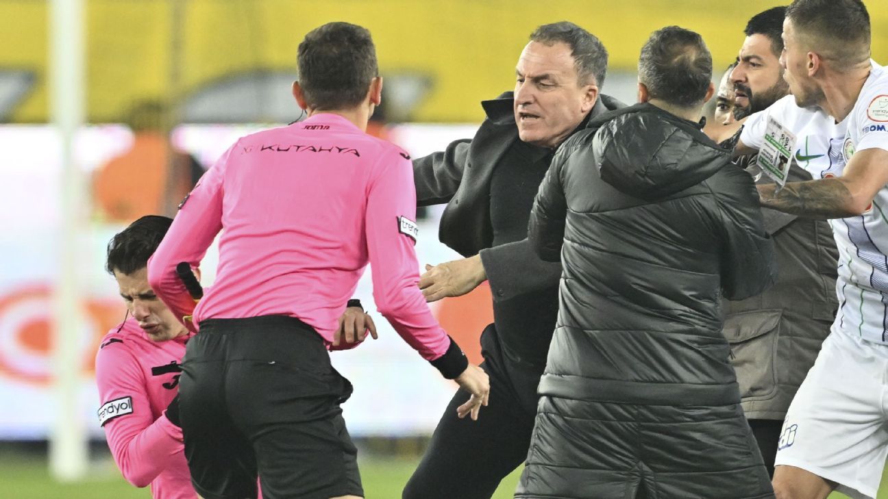 Turkish club president given life ban for punching referee - ESPN