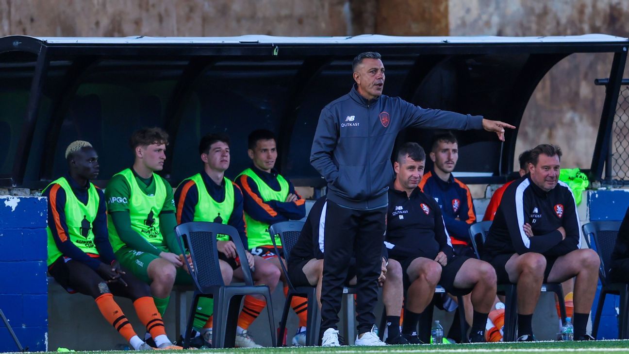 ALeague Men Ross Aloisi leaves Brisbane Roar for China ESPN