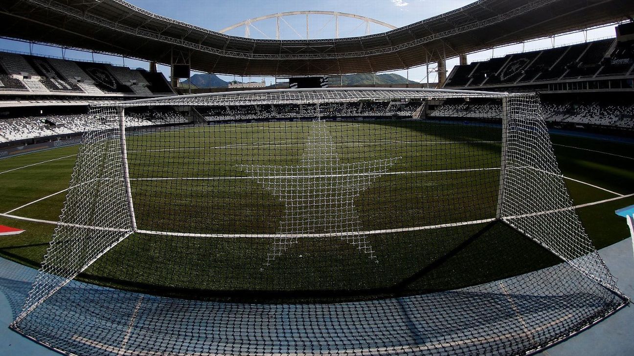 Botafogo x Palmeiras: onde assistir ao vivo, horário, palpites e escalações prováveis