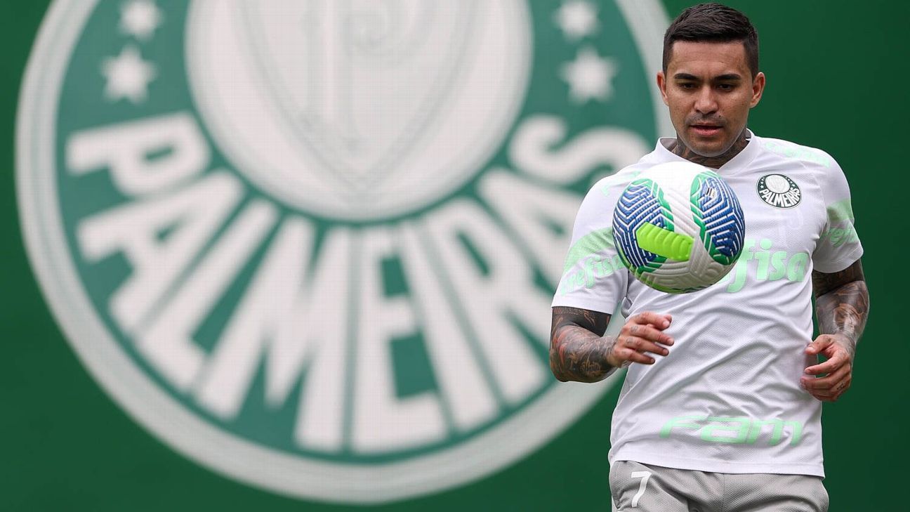 Palmeiras lucra com retorno de Dudu e projeta sucesso na Europa.