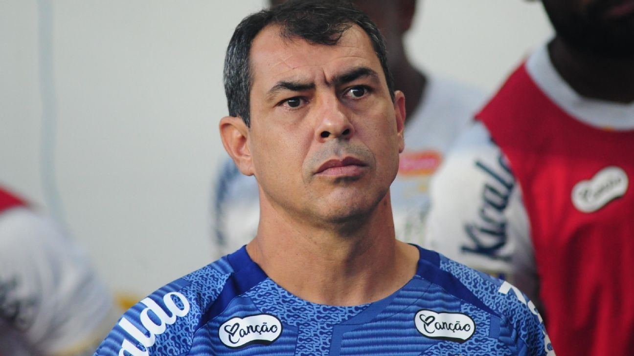 Carille questiona lance de pênalti e elogia vice do Santos: 