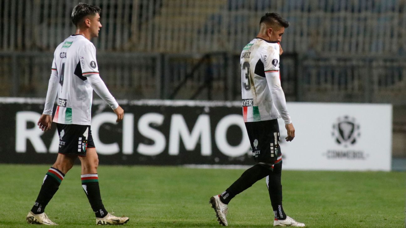 Palestino suffered a very tough defeat to Bolivar in the Conmebol Libertadores