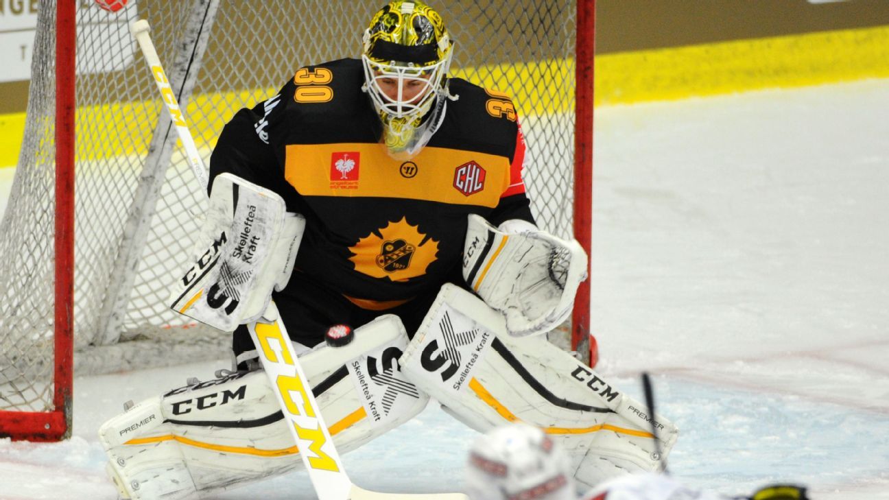 Save of the year? Swedish Hockey League goalie makes heroic diving play to prevent a goal