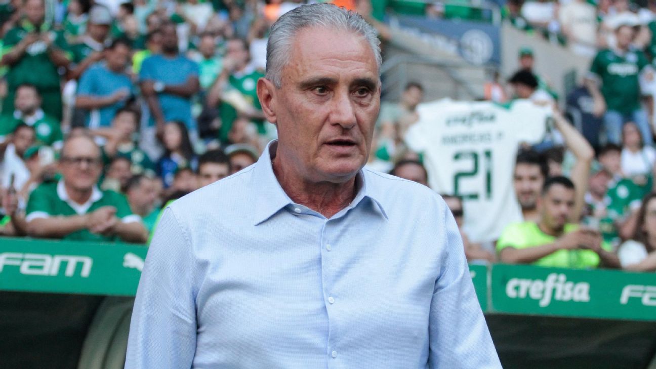 Palmeiras identifica torcedor que cuspiu em Tite e pedirá providências à WTorre