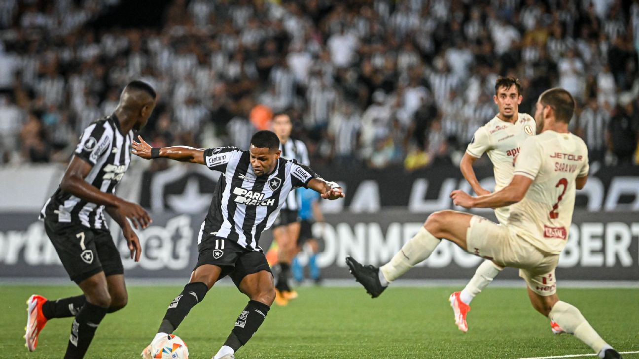 Universitario was defeated by Botafogo in CONMEBOL Libertadores and lost undefeated