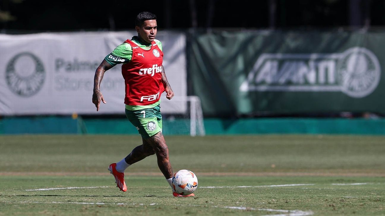 Treino integral de Dudu e Bruno Rodrigues: Palmeiras foca na Libertadores.