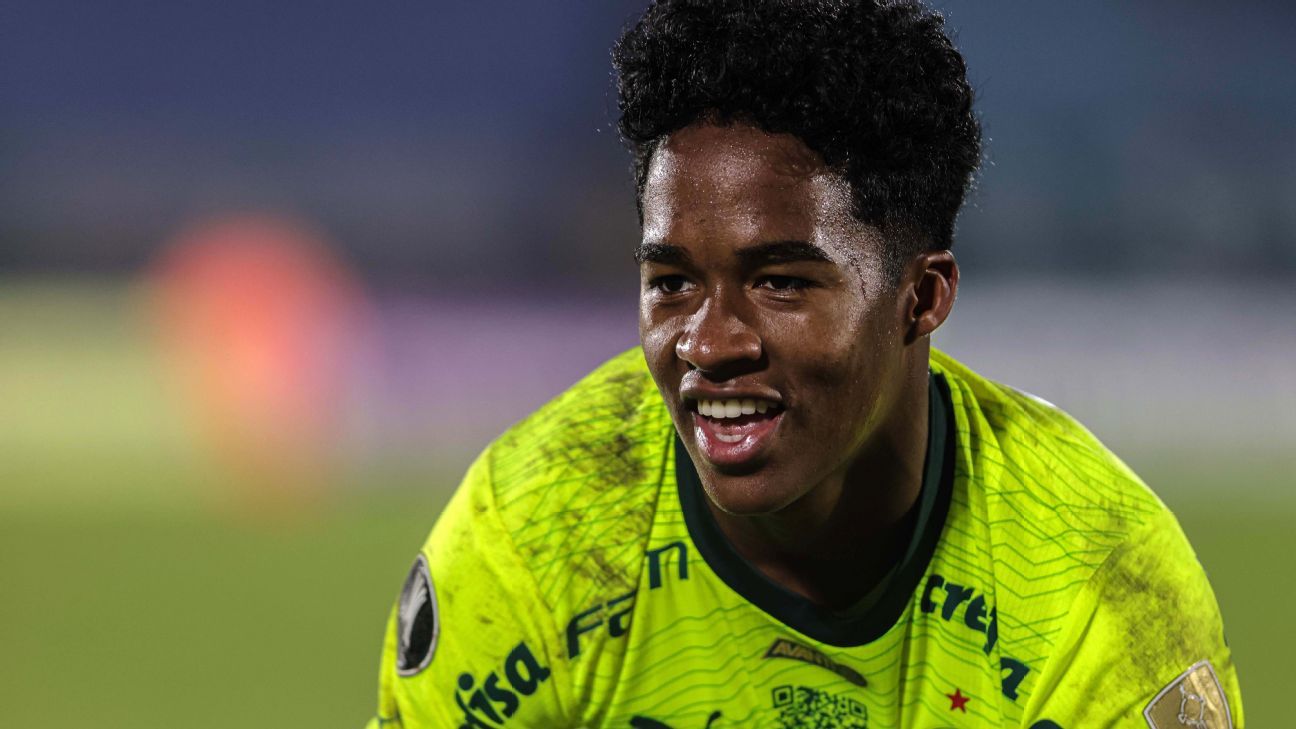 Palmeiras lidera crescimento de seguidores nas redes sociais em 2024: confira ranking.