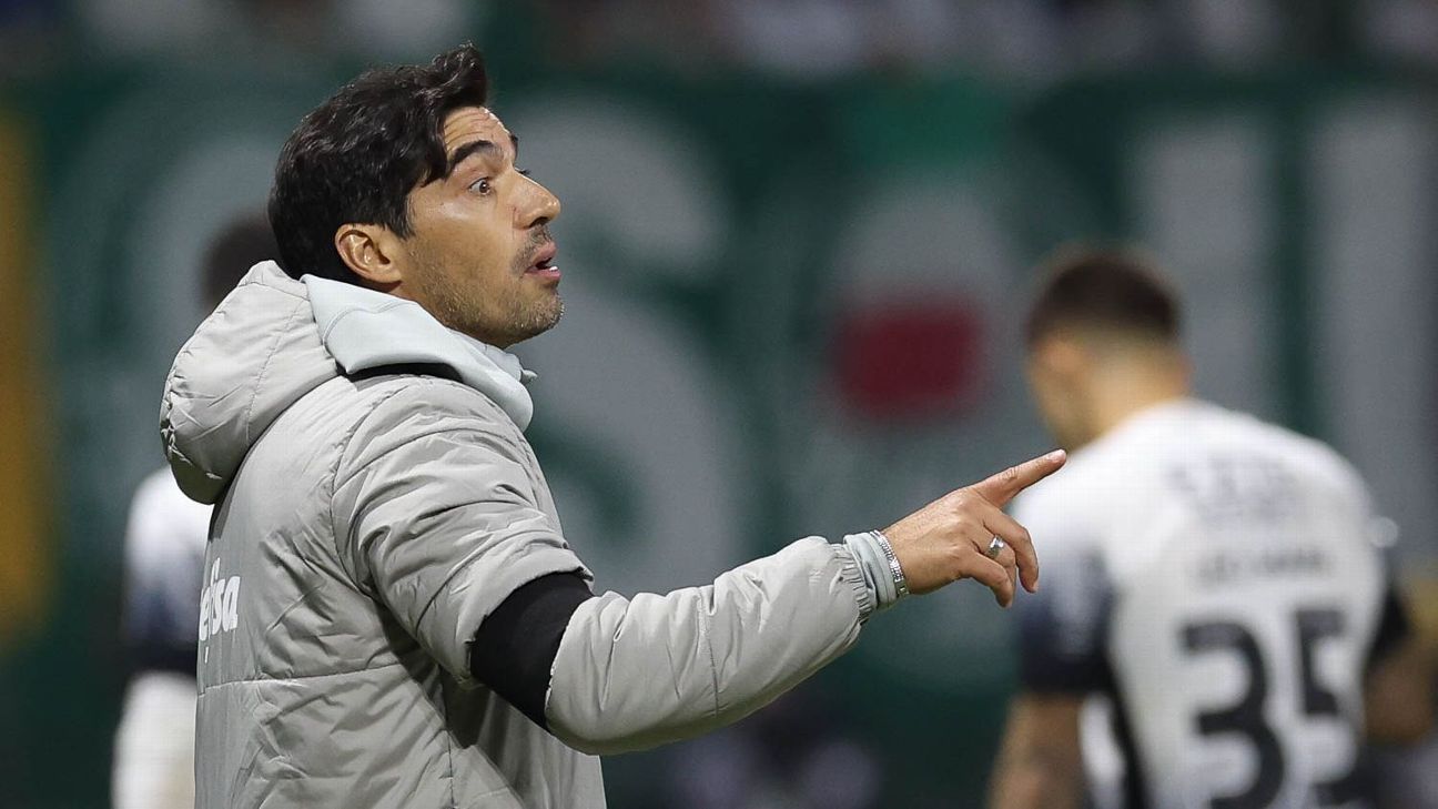 Investimentos no Futebol: Palmeiras, Flamengo e Botafogo se destacam em contratações milionárias.