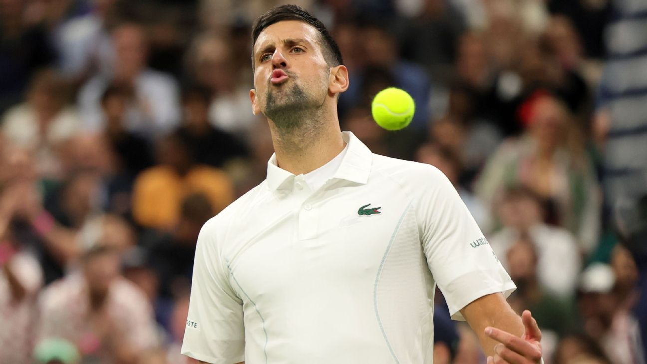 Novak Djokovic affronte une nouvelle fois le public, cette fois à Wimbledon
