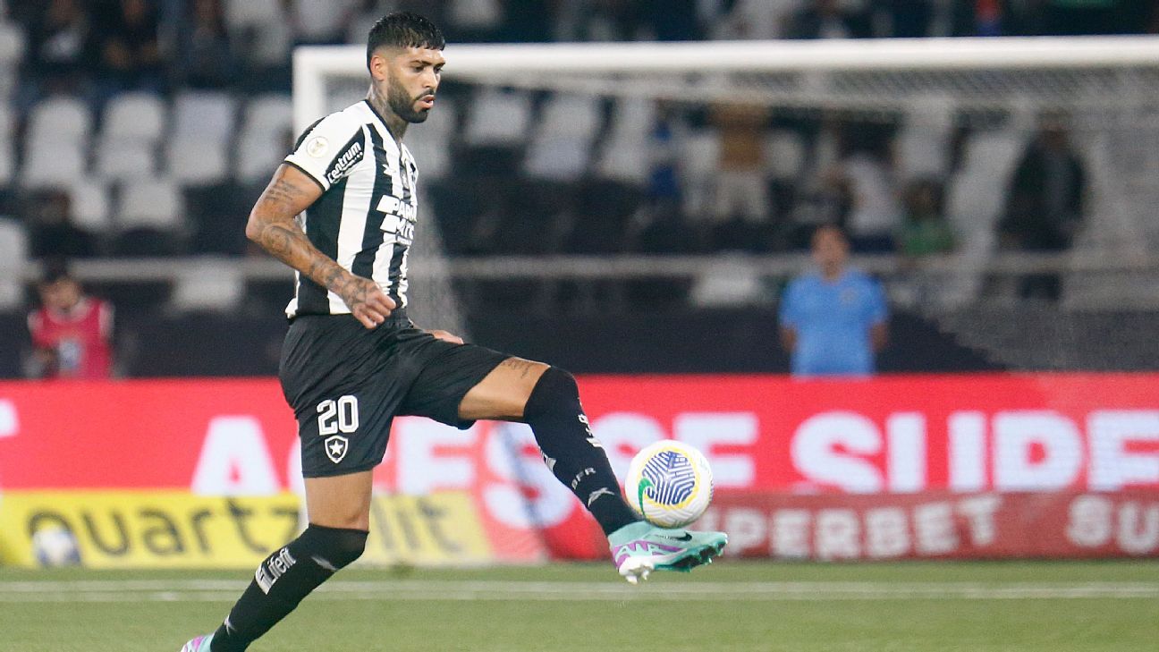 Análise polêmica de lance de expulsão em Botafogo x Palmeiras mostra falta de critério arbitral