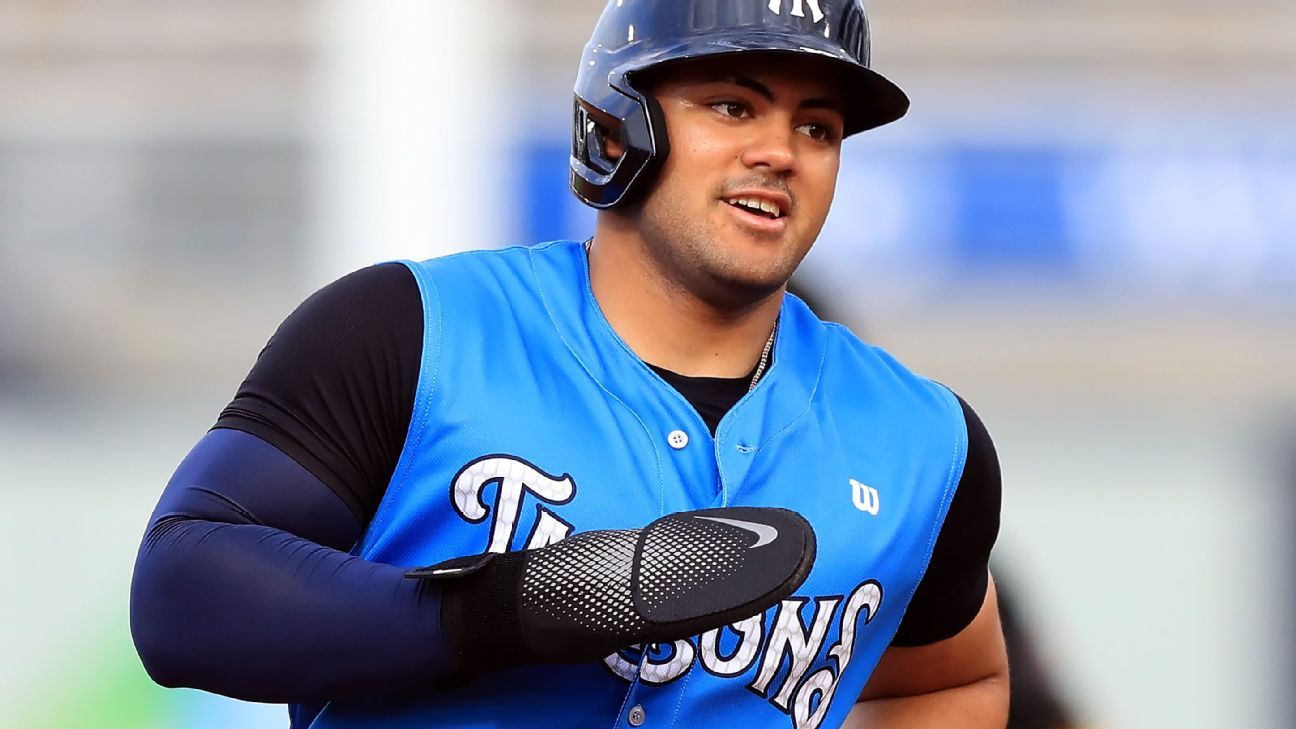 Yanks promote Domínguez for Little League Classic