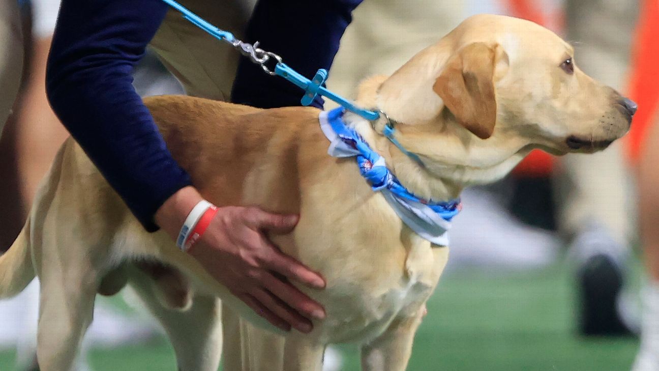 Lane Kiffin's dog joins in after losing service during Ole Miss kickoff