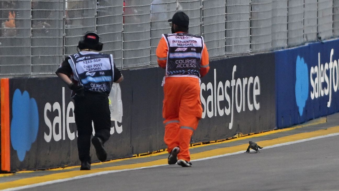 Singapore GP: Chaos as Lizard interrupts final practice on track