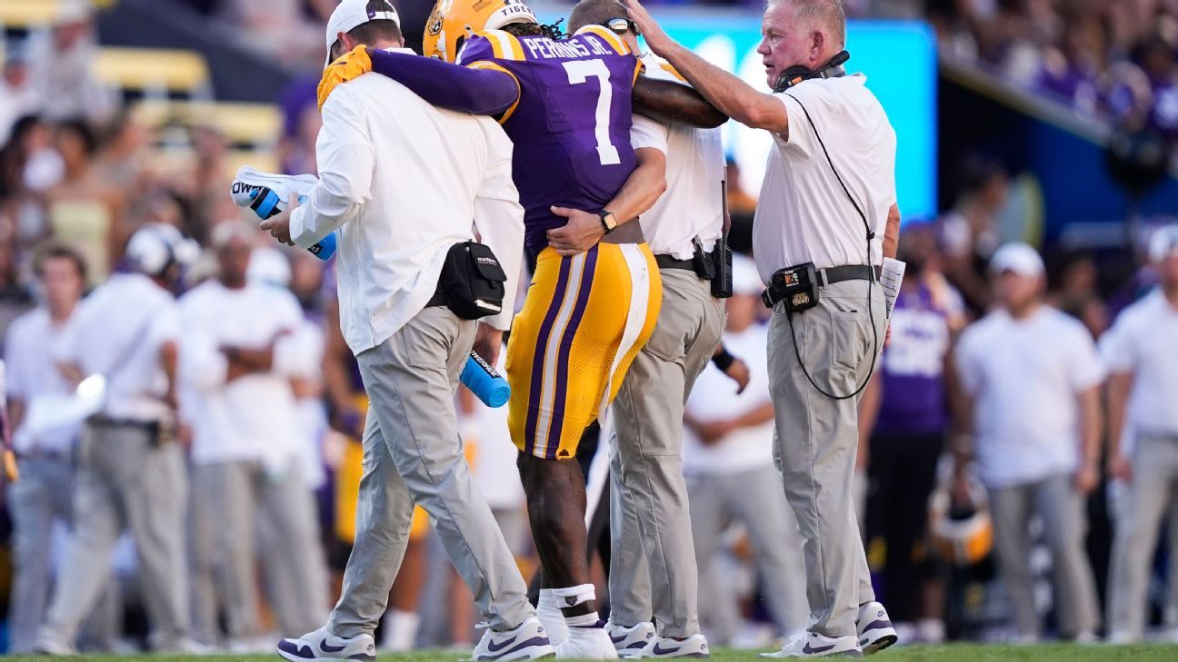 Source: LSU star LB Perkins (ACL) out for season