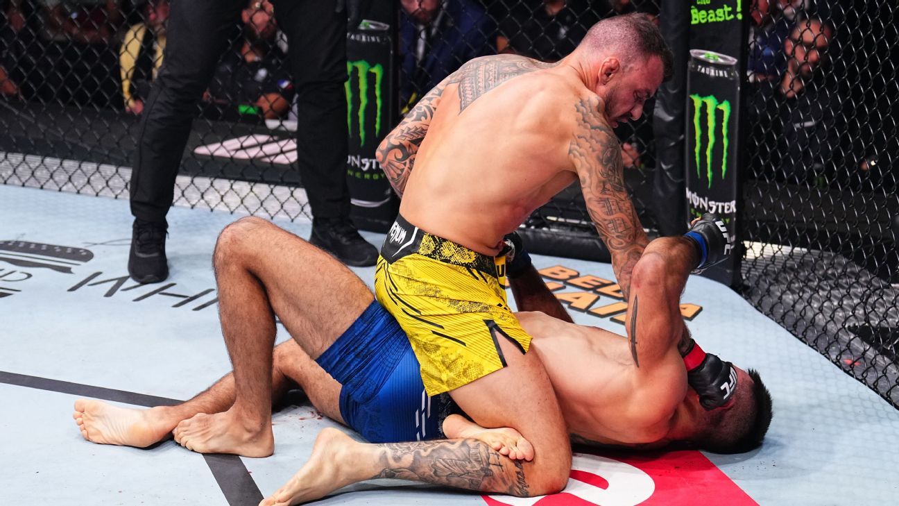 Renato Moicano defeats Benoit Saint Denis by TKO when the doctor stops the fight