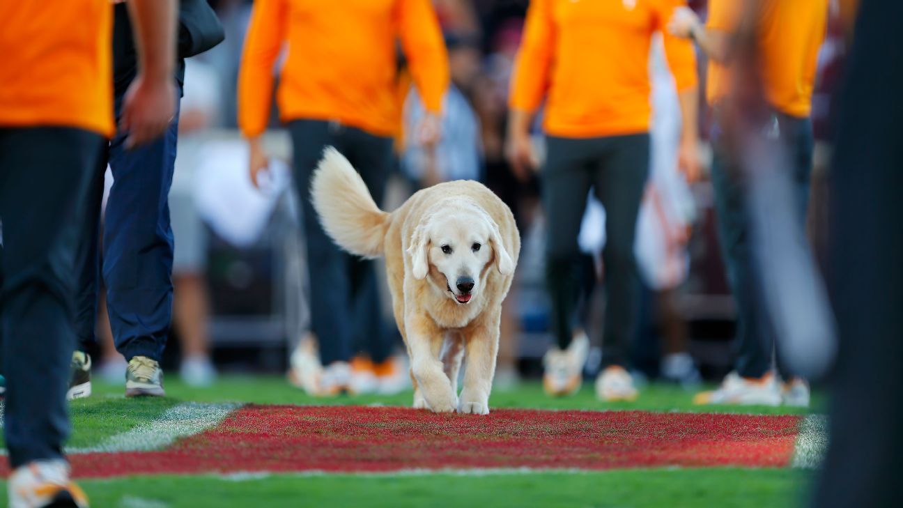 Kirk Herbstreit’s dog Ben steals the show from college football