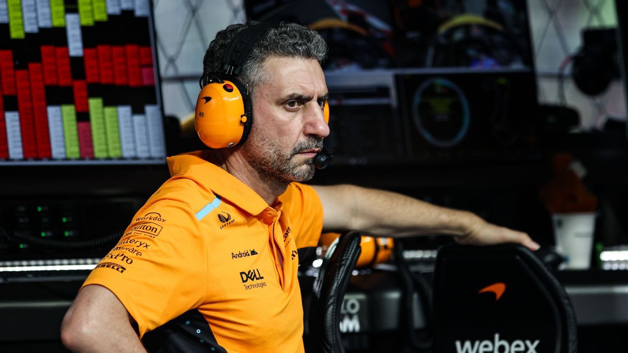 US GP: McLaren boss Andrea Stella says punishment is “inappropriate”