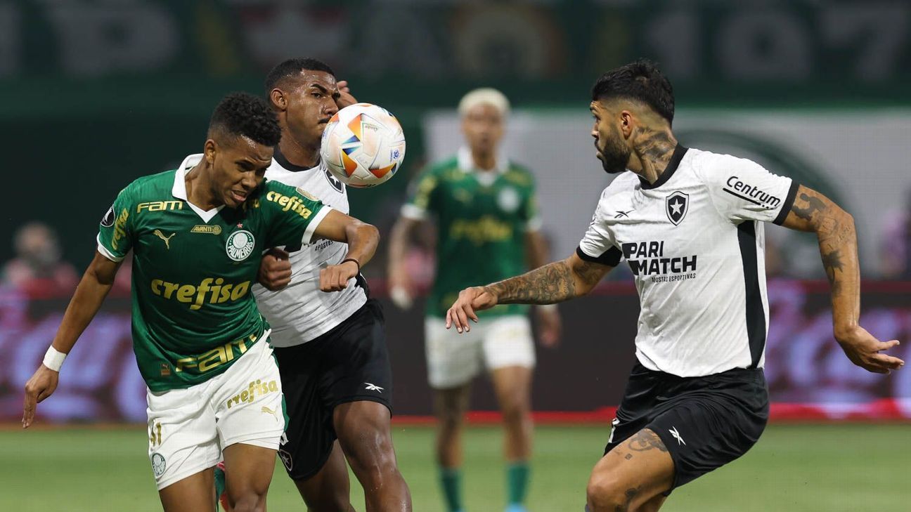 Palmeiras x Botafogo: Escalações da estreia do Brasileirão