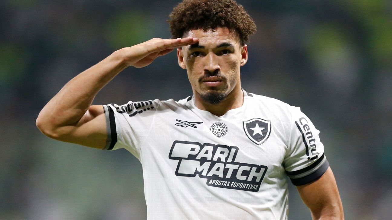 Botafogo aumenta chances de título ao vencer Palmeiras em partida decisiva.