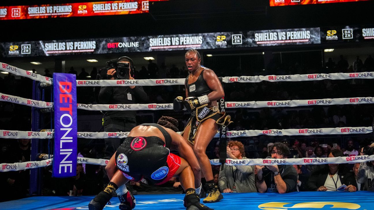 Women's boxing divisional rankings: A first undisputed heavyweight champ