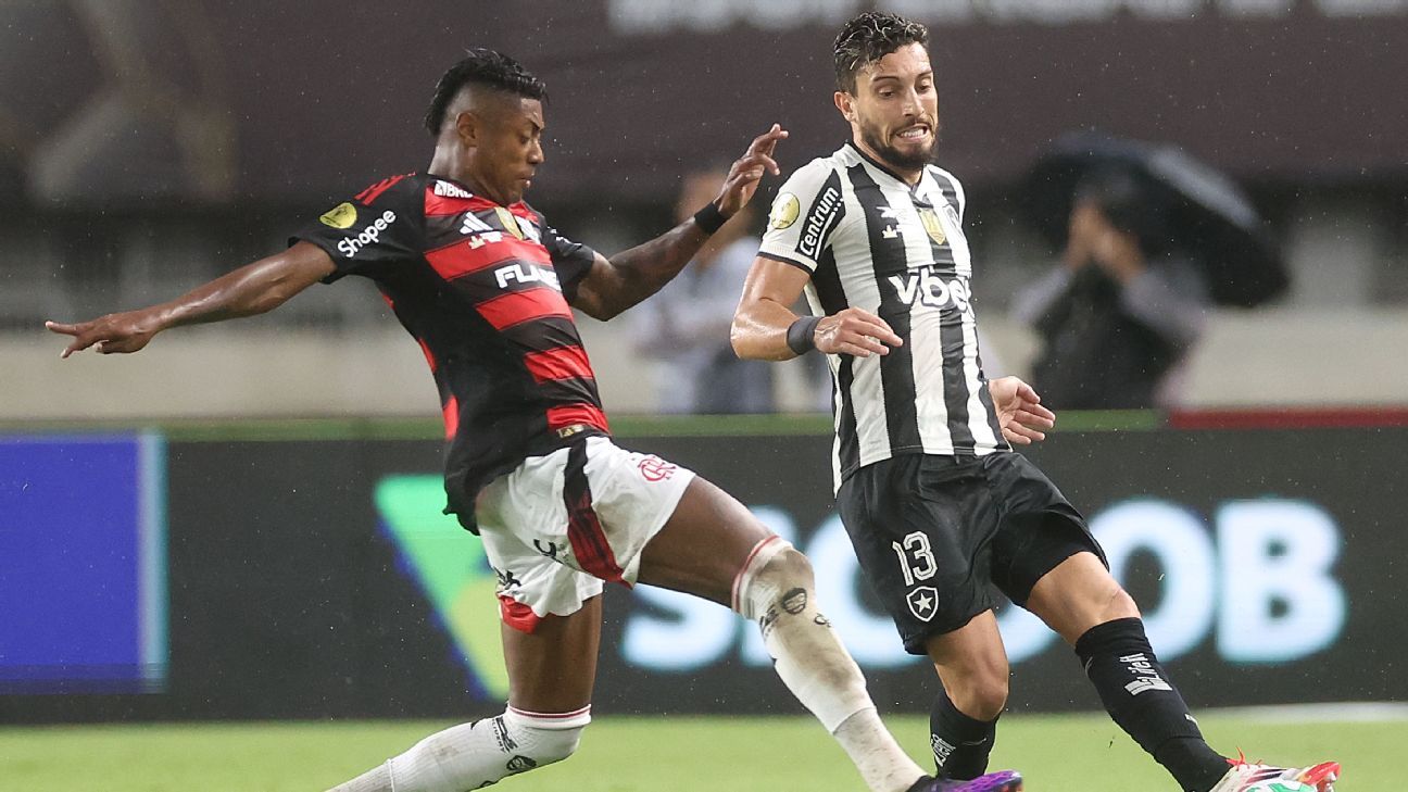 Projetos diferentes, pensamentos iguais: como Carioca 'une' Botafogo e Flamengo sobre olhar da temporada 2025