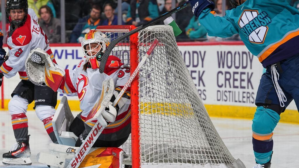 Historic 'Michigan' Goal by Abby Roque in PWHL Sets New Benchmark