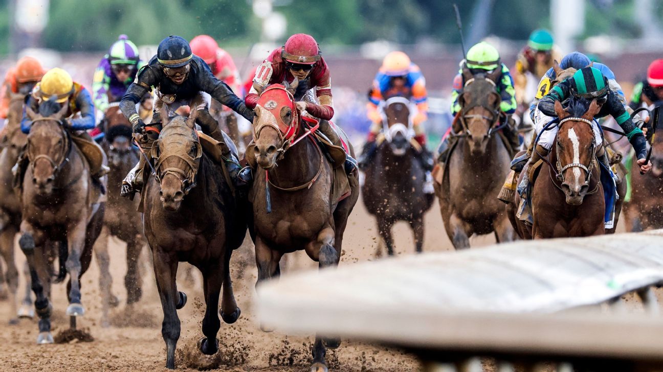 'That horse is our responsibility': How one organization plans to win new race fans