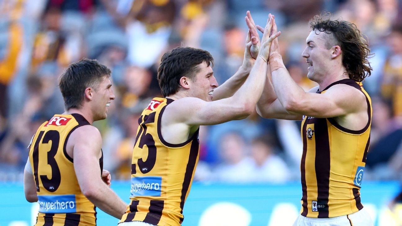Gunston delivers late as Hawks overpower Demons