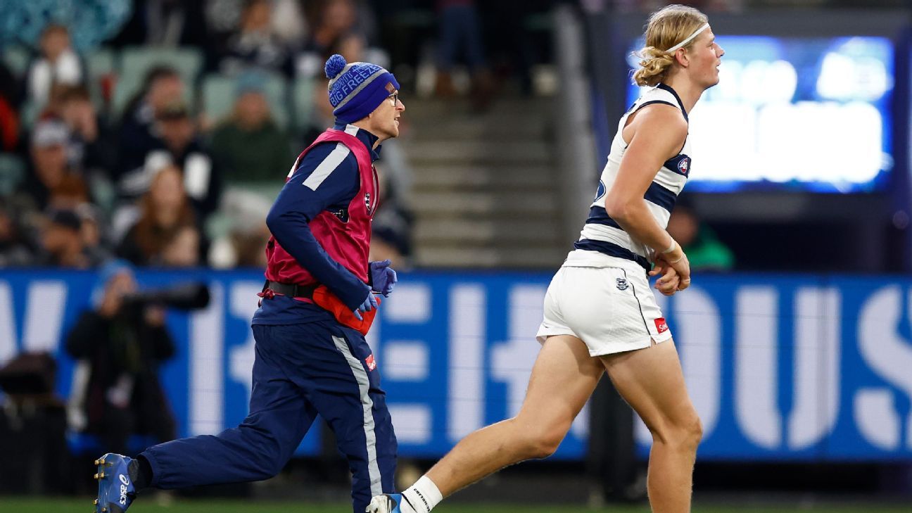 Cats defender cut down with shoulder injury