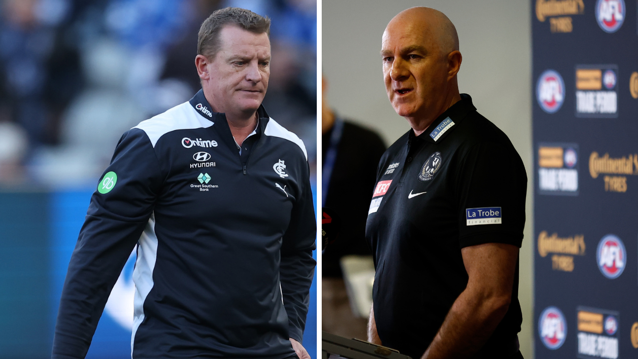 Carlton's incoming CEO has a lot to consider, including the fate of Michael Voss