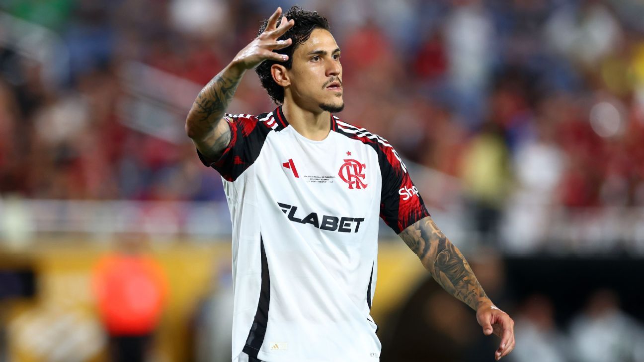 Flamengo divulga relacionados para duelo contra o Santos sem Pedro.