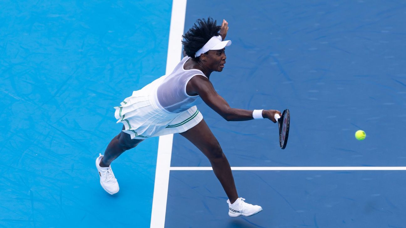 Venus Williams en el campo de juego.