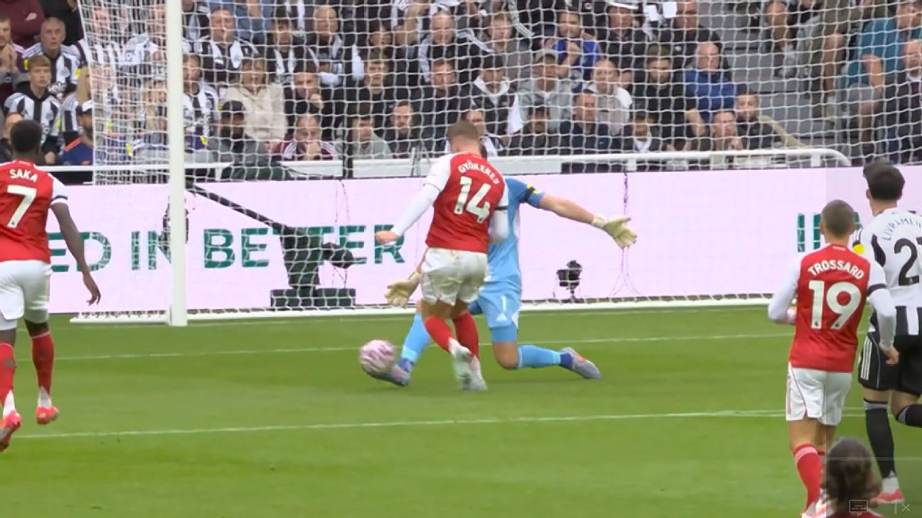 Jarred Gillett no se percató de que Nick Pope tocó el balón.