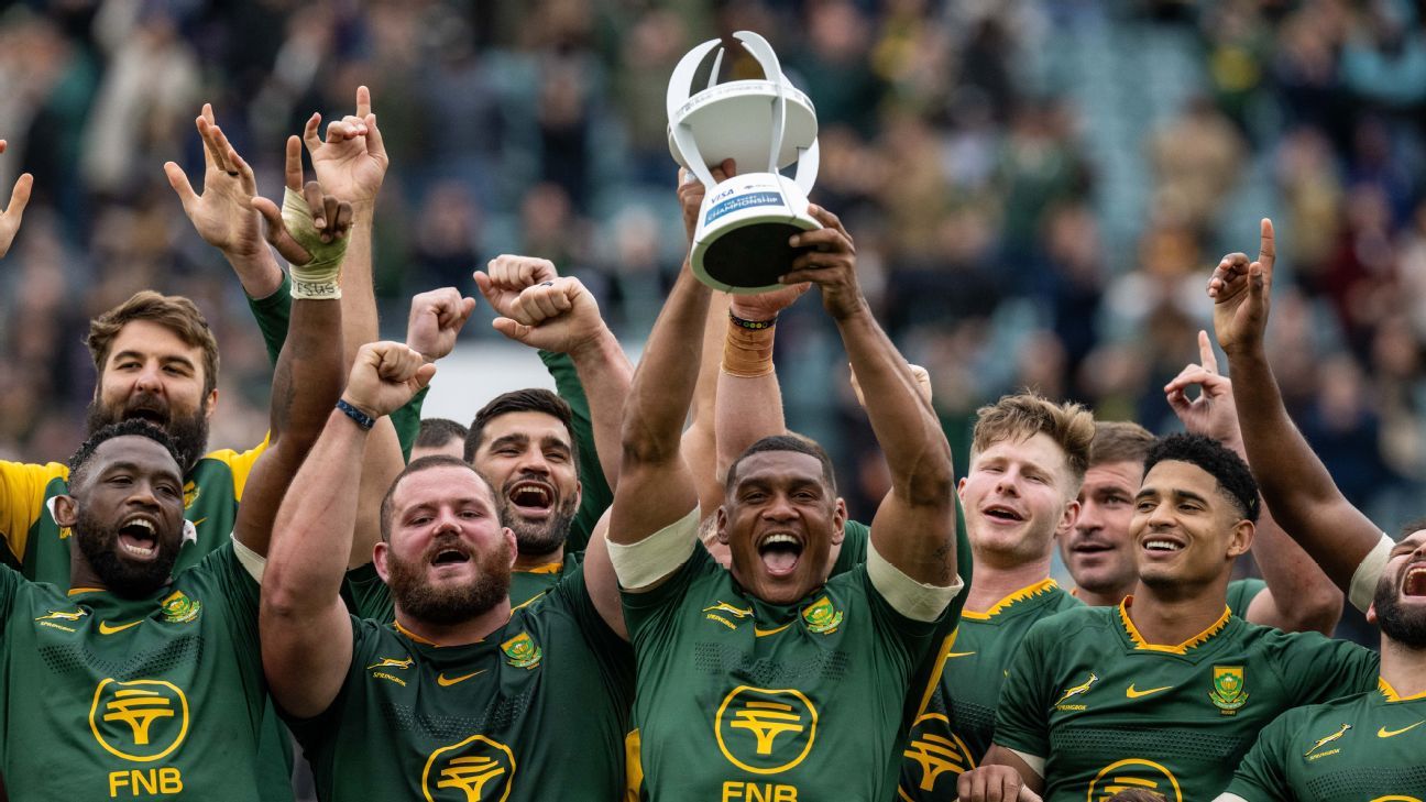 De menor a mayor, el camino de los Springboks al título en el Rugby ...