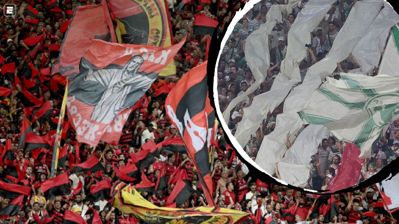 Torcida do Palmeiras cresce 25% e Flamengo registra 20% a mais em 15 anos, acirra rivalidade