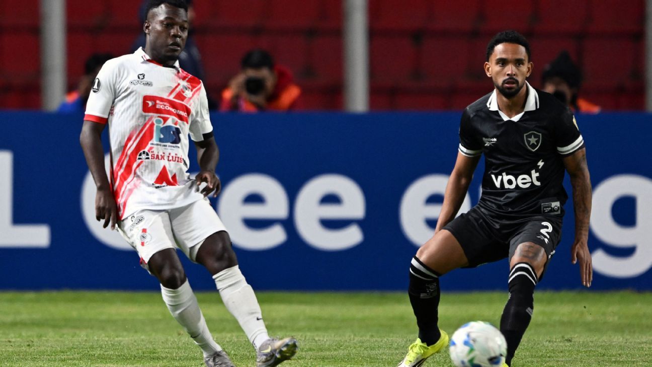 Botafogo sucumbe na altitude e perde para o Nacional Potosí na segunda ...