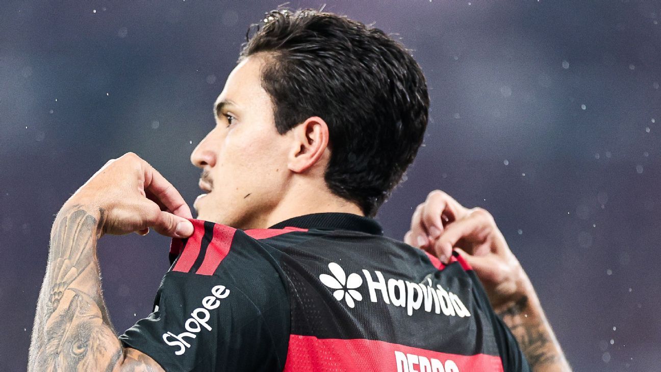 Pedro cola em Gabigol entre artilheiros do Flamengo no século e mantém viva esperança de seleção