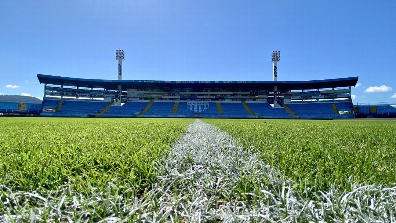 Avaí x Ponte Preta: onde assistir ao vivo, horário, palpite e prováveis escalações do jogo da Série B